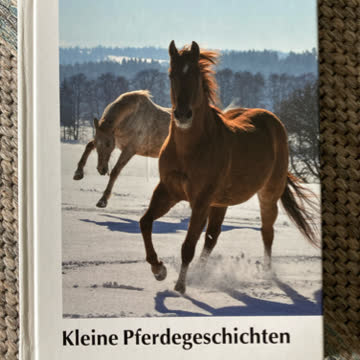 Kleine Pferdegeschichten (Band 52)