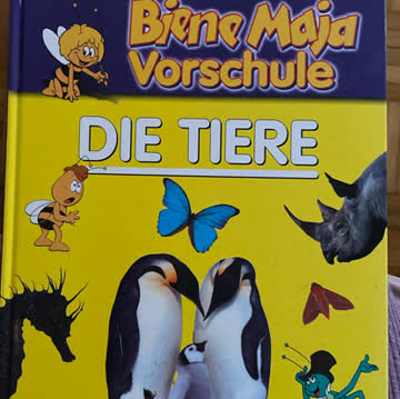 Biene Maja Vorschule