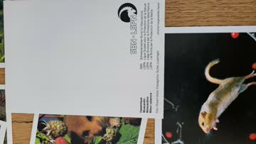 Doppelkärtchen einheimische Fauna