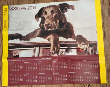 Poster Dogstoday 2014