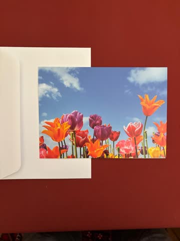 Karte - Tulpen
