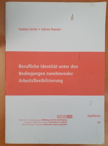 Berufliche Identität unter den Bedingungen zunehmender Arbe