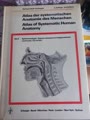 Atlas der systematischen Anatomie des Menschen