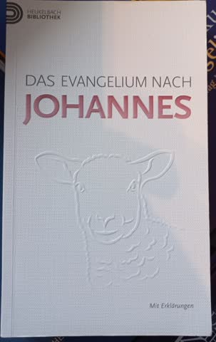 Das Evangelium nach Johannes neu