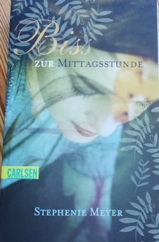 Biss zur Mittagsstunde Buch