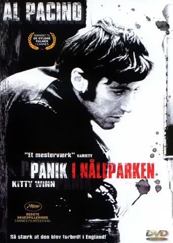 The Panic in Needle Park (DK-Import)