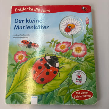 Der kleine Marienkäfer