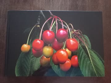 175 Jahre - so lange besteht Kt. BL Buch