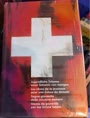 Jugendliche Träume einer Schweizer von Morgen Buch