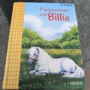 Ponysommer mit Billie