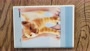 Kleiner Schleich-Katalog (Sammelbüchlein, 2004)