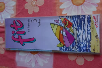 Exsila Artikel: fit Lernkarten in Französisch Nr. B - Verbes (ohne Gerät)