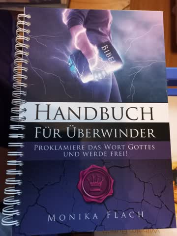 Handbuch für Überwinder von Monika Flach