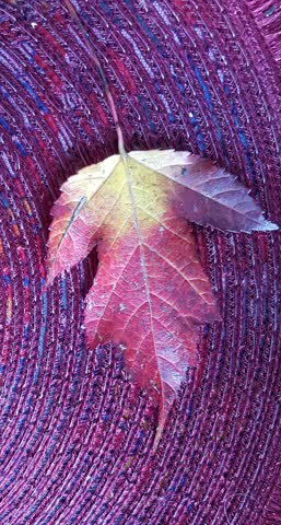 Exsila Artikel: Suche gute Angebote