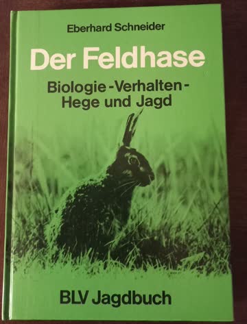Exsila Artikel: Der Feldhase