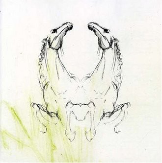 My Brightest Diamond - Tear It Down (Remixes)