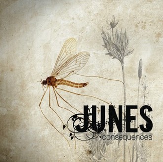 Junes - Consequences