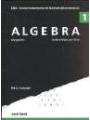 Algebra 1 