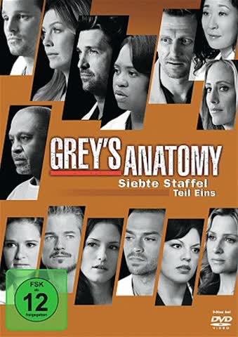 Grey's Anatomy: Die jungen Ärzte - Siebte Staffel, Teil Eins [3 DVDs]