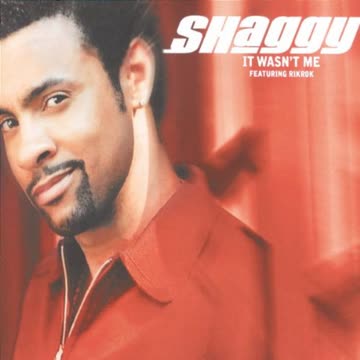 Shaggy - It Wasn't Me
