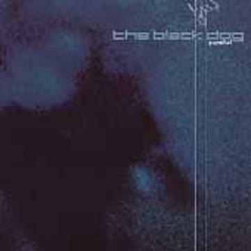 Black Dog - Parallel