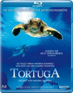 Tortuga