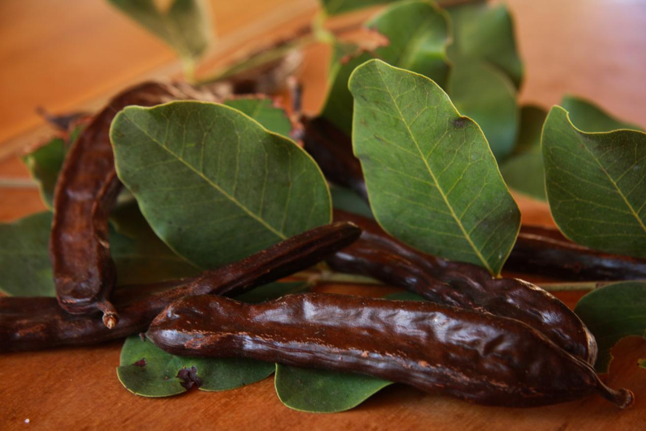 270 THE CAROB TREE, CRETE'S BLACK GOLD