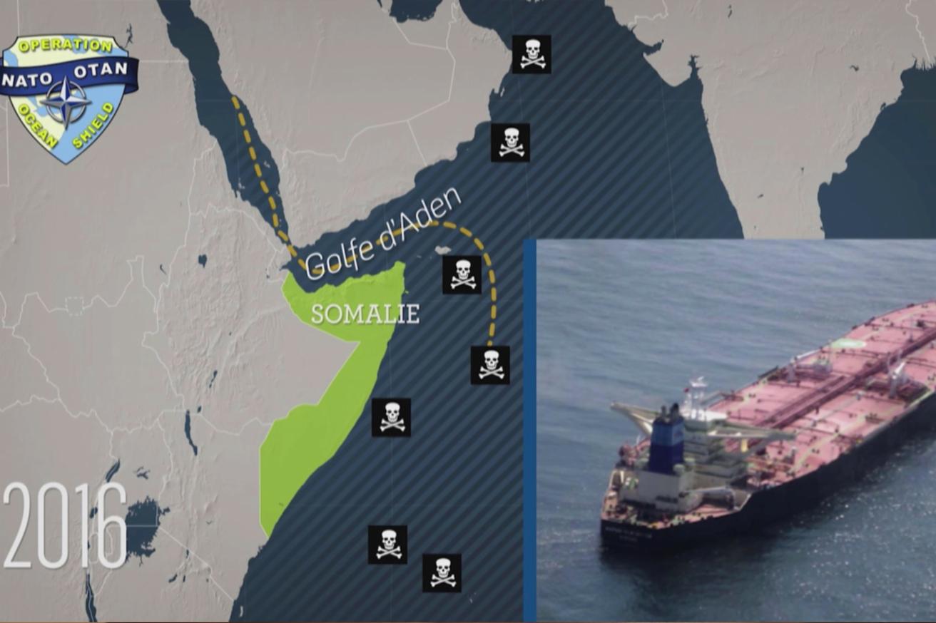 Otan en état de mort cérébrale ?