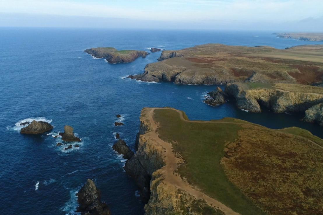 BELLEILE, CLAUDE WILD LANDSCAPE