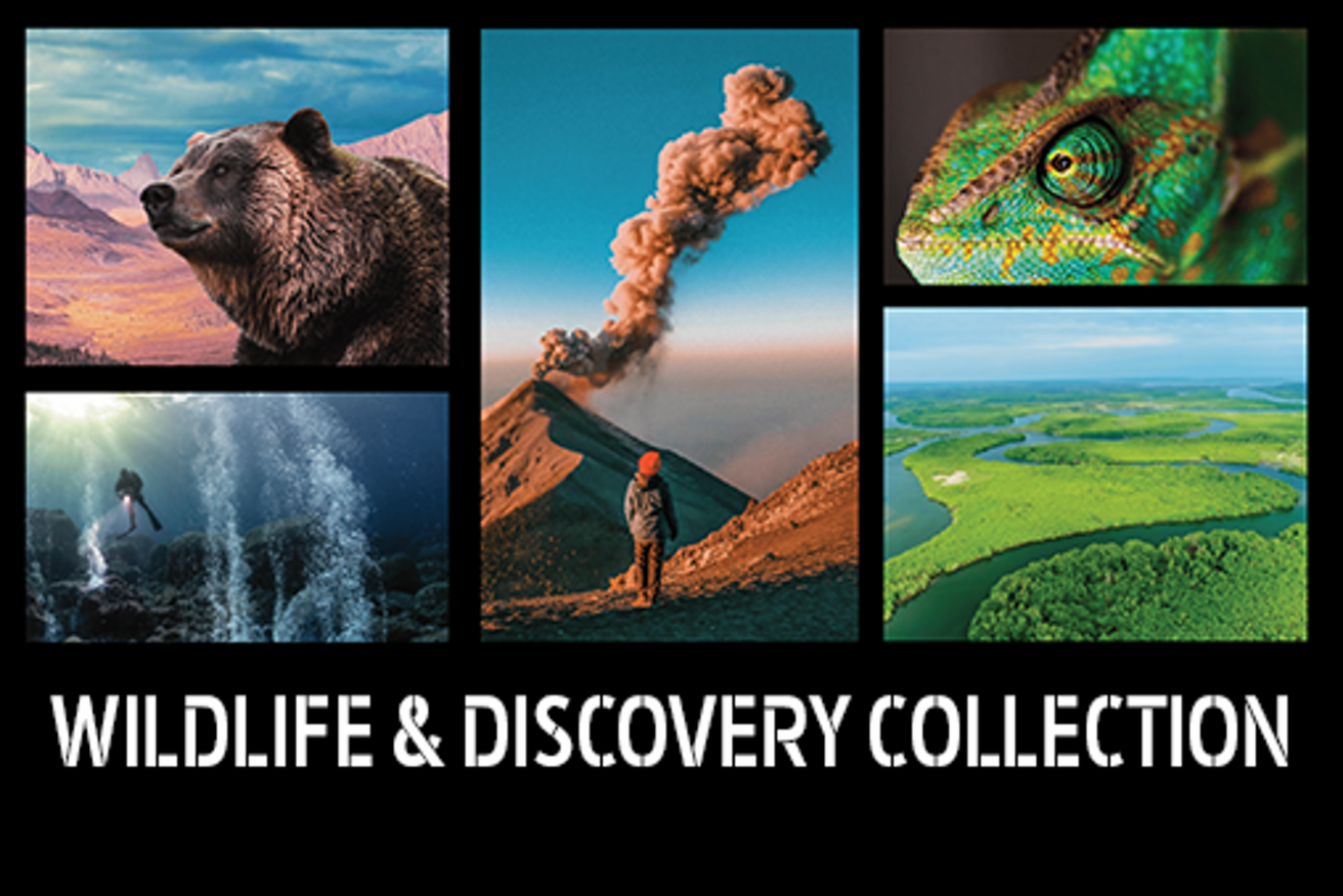 WILDLIFE & DISCOVERY COLLECTION