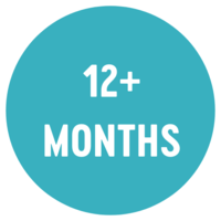 12+ Months