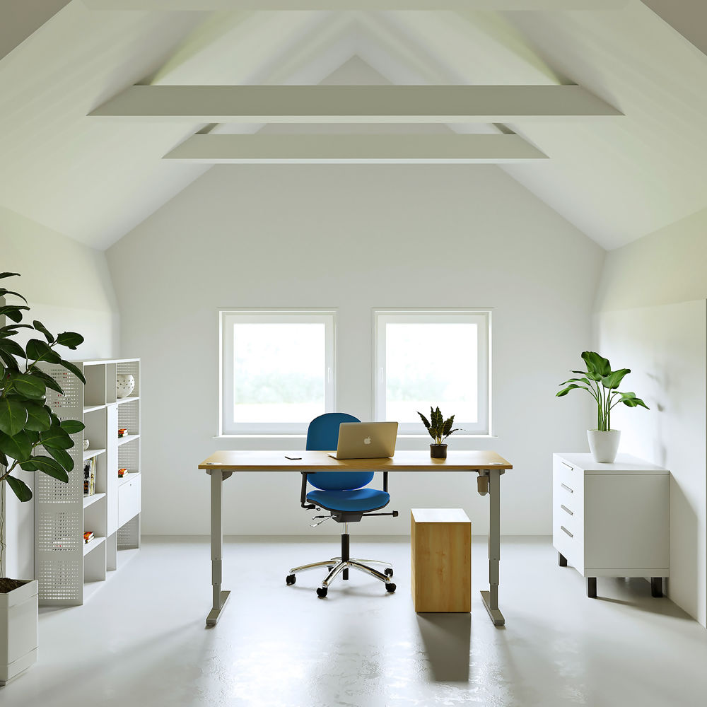 Freedom Electric Standing Desk Electric Standing Desks