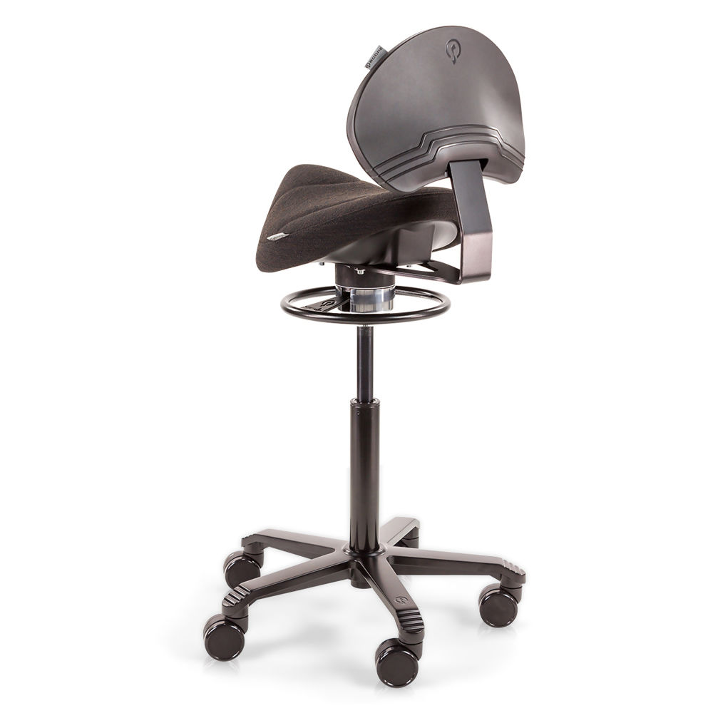 Score-Amazone-Balance-With-Lumbar-Support-Office-Back-Angle.jpg