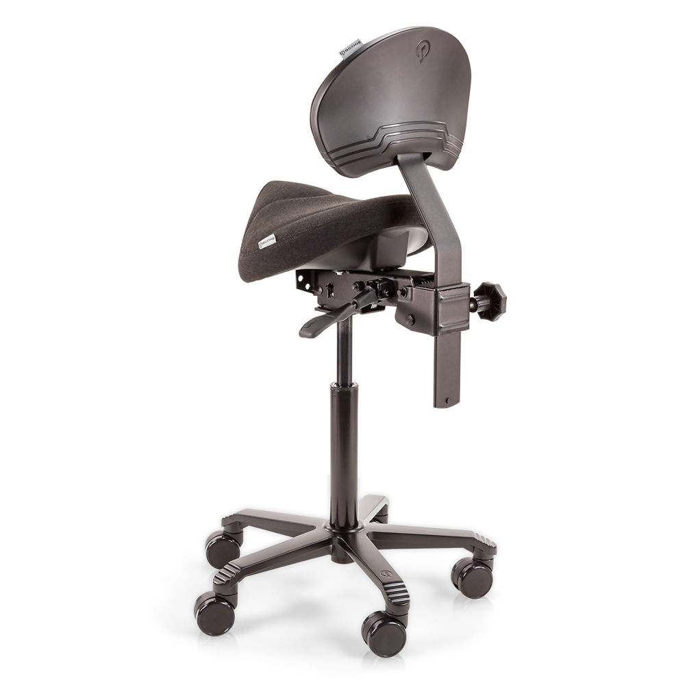 Score-Amazone-With-Lumbar-Support-Office-Back-Angle.jpg