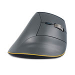 Bakker-Elkhuizen-Fast-Forward-Mouse-Side.jpg