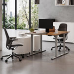 Freedom-Mini-Electric-Standing-Desk-Office-Silver.jpg
