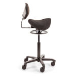Score-Amazone-Balance-With-Lumbar-Support-Office-Side.jpg