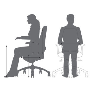 Ergonomic Chair Assessment Online