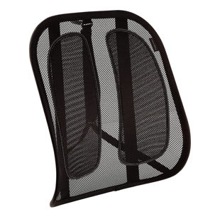 Fellowes-Office-Suites-Mesh-Back-Support-Angle.jpg