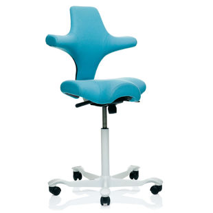 HAG_Capisco_8106_Angle.jpg