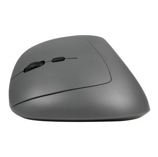 MidWay-Mouse-Outside.jpg
