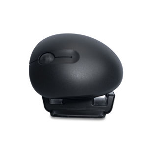 RGOTWBMWLBL-PI-004.jpg