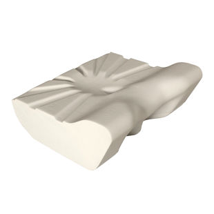 Putnams Pillow