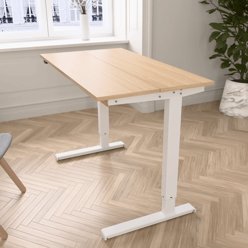 Conset Split Electric Adjustable Standing Desk