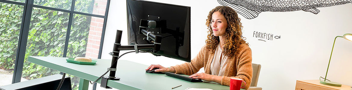 Monitor Arms