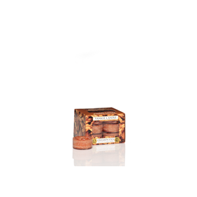 CLASSIC TEA LIGHTS CINNAMON STICK