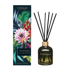 Infusion Spice Explosion & Charcoal Reed Diffuser (Black) Mystique