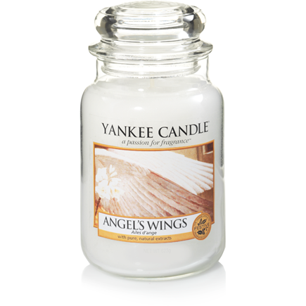 CLASSIC LARGE JAR ANGEL WINGS
