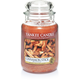 CLASSIC LARGE JAR CINNAMON STICK