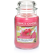 CLASSIC LARGE JAR PINK DRAGON FRUIT